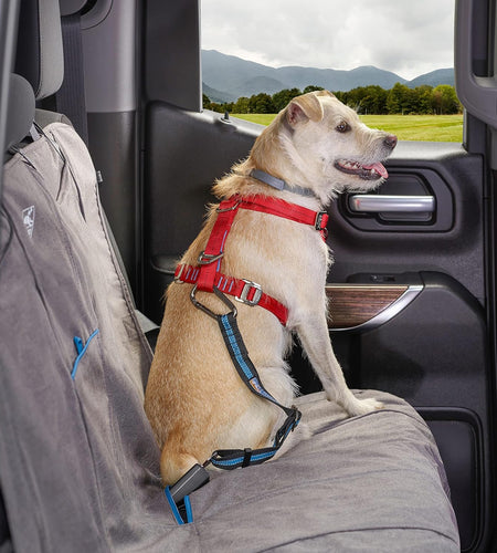 Direct to Seat Belt Tether for Dogs, Universal Car Seat Belt for Pets, Adjustable Length Dog Safety Beltquick & Easy Installation