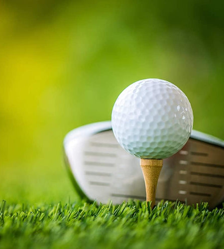 Professional Wooden Golf Tees 2 3/4 Inch Tee Pack of 100 Golf Tee