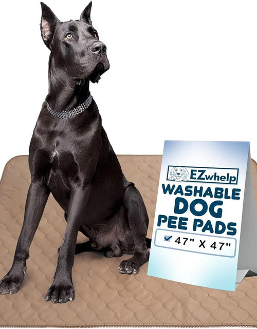 Load image into Gallery viewer, Washable Pee Pads for Dogs - Waterproof Training Pads for Dogs, Reusable &amp; Sanitary, Rounded Corners, Laminated, Lightweight, Durable, Pet Essentials for Training and Whelping, 47" X 47"
